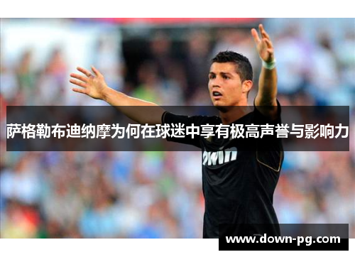 萨格勒布迪纳摩为何在球迷中享有极高声誉与影响力 萨格勒布迪纳摩为何在球迷中享有极高声誉与影响力