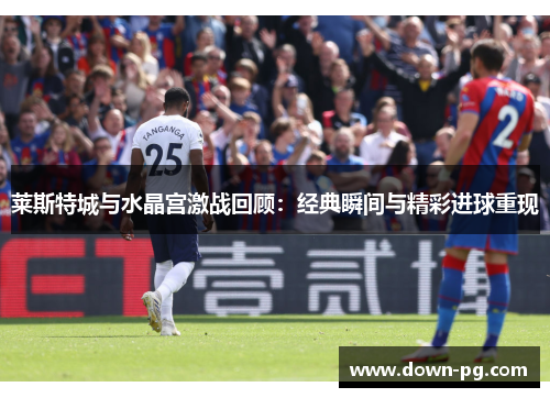 莱斯特城与水晶宫激战回顾：经典瞬间与精彩进球重现