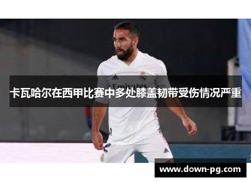 卡瓦哈尔在西甲比赛中多处膝盖韧带受伤情况严重 卡瓦哈尔在西甲比赛中多处膝盖韧带受伤情况严重