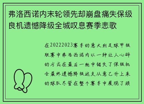 弗洛西诺内末轮领先却崩盘痛失保级良机遗憾降级全城叹息赛季悲歌 弗洛西诺内末轮领先却崩盘痛失保级良机遗憾降级全城叹息赛季悲歌