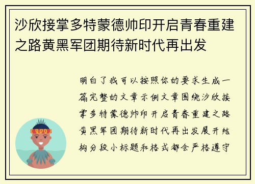 沙欣接掌多特蒙德帅印开启青春重建之路黄黑军团期待新时代再出发